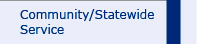 Community/Statewide Service